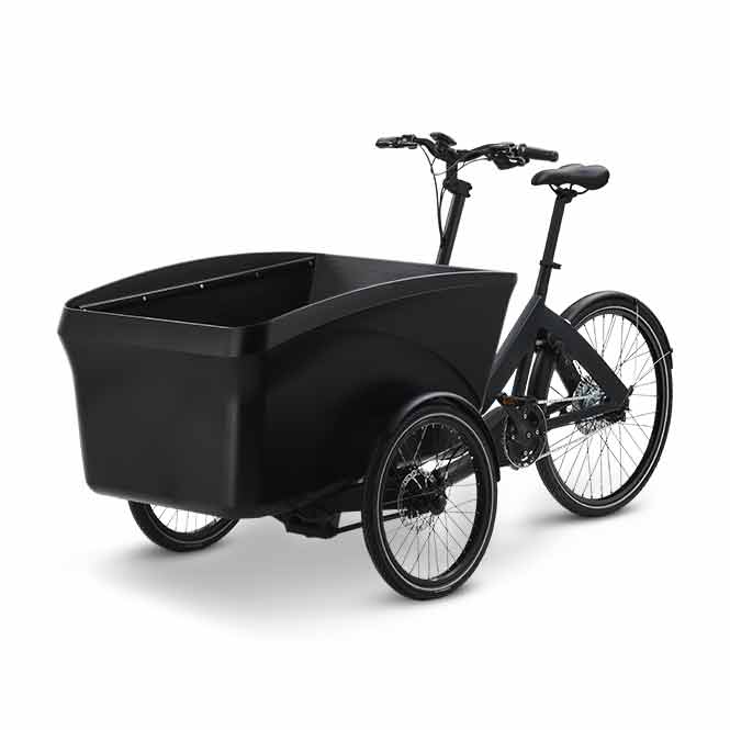 Trio cargo clearance bike