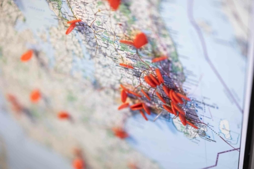 Freetrailer - international vækst