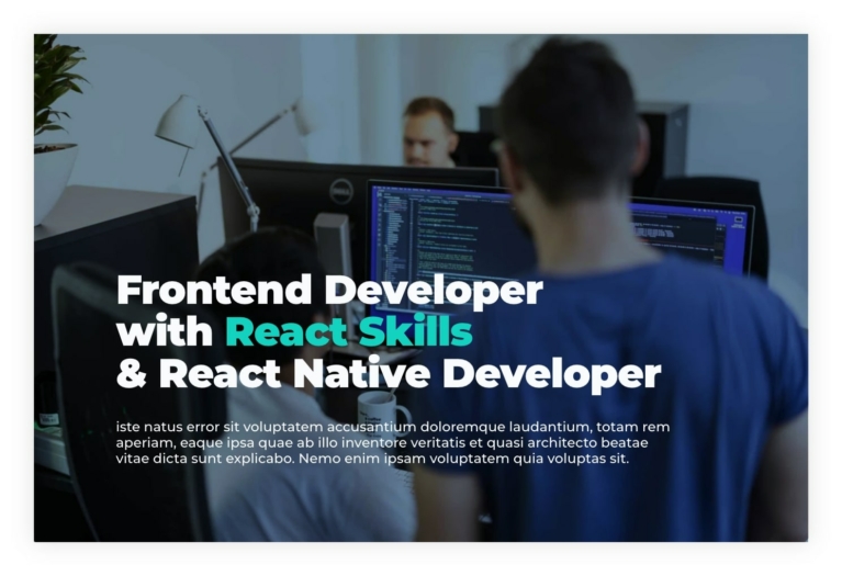 Development job